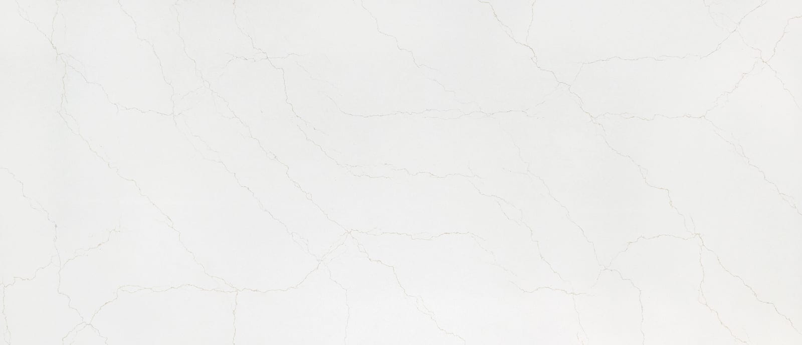 Calacatta Adonia — material swatch