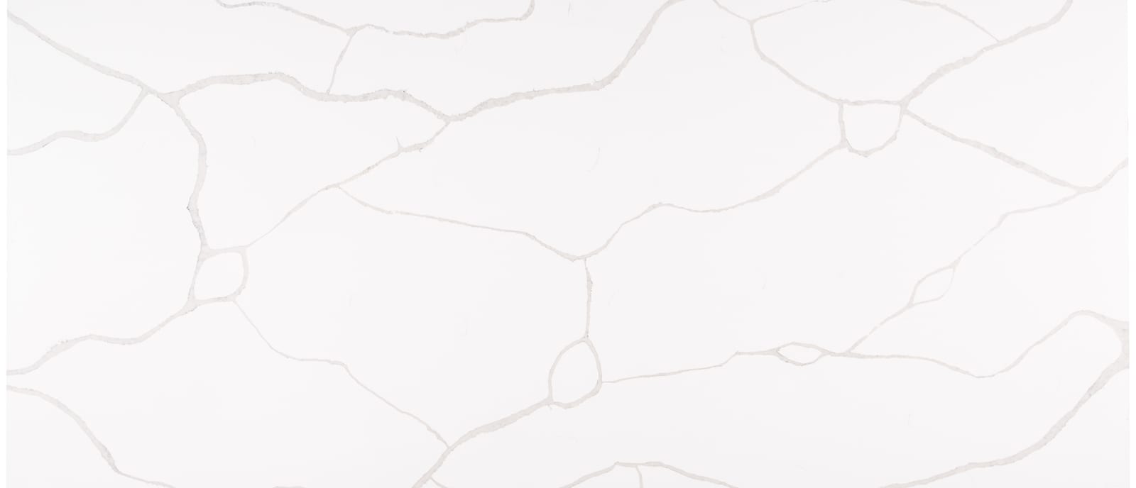 Calacatta Classique — material swatch