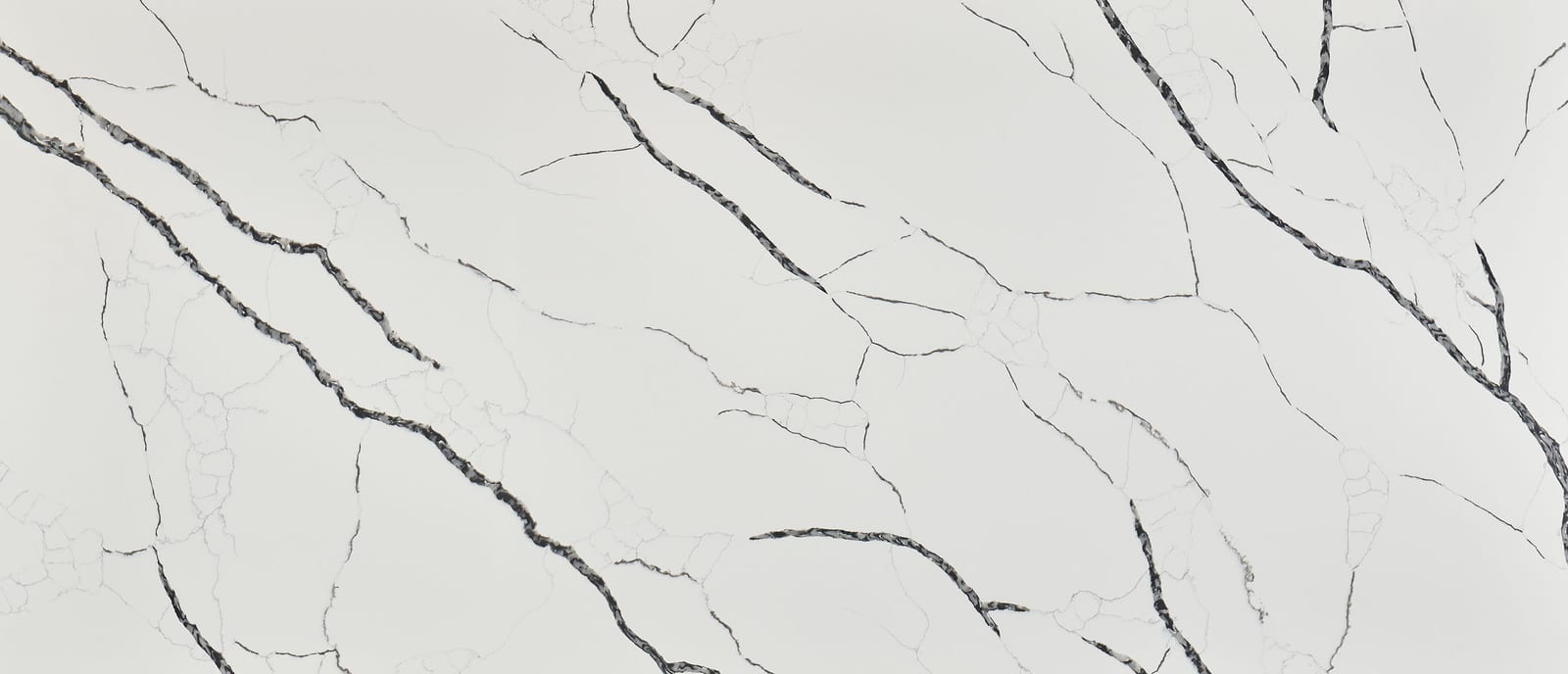 Calacatta Laza Night — material swatch