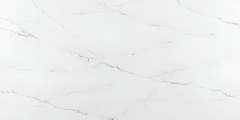 Calacatta Palermo — material swatch