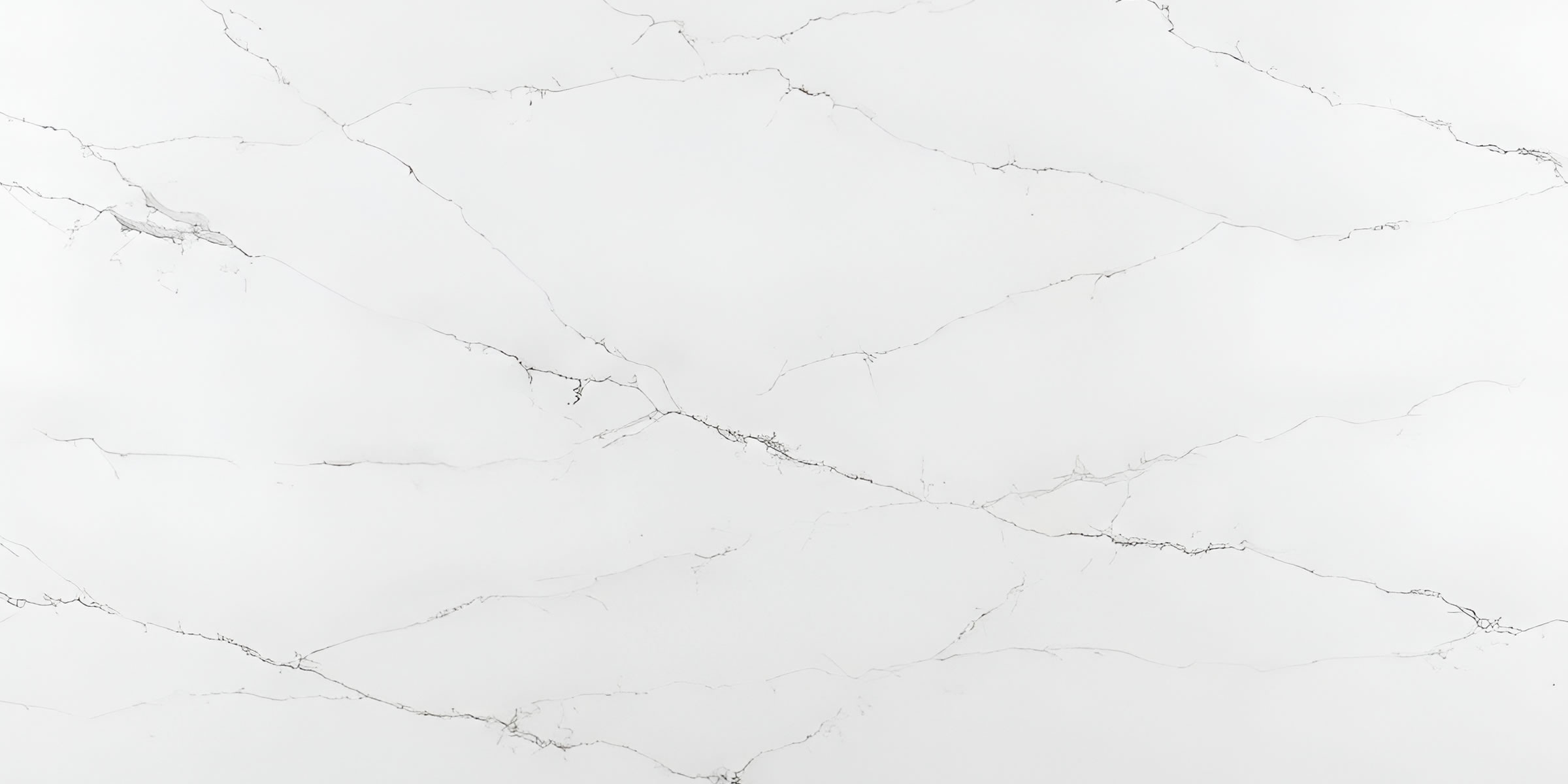 Calacatta Palermo — material swatch