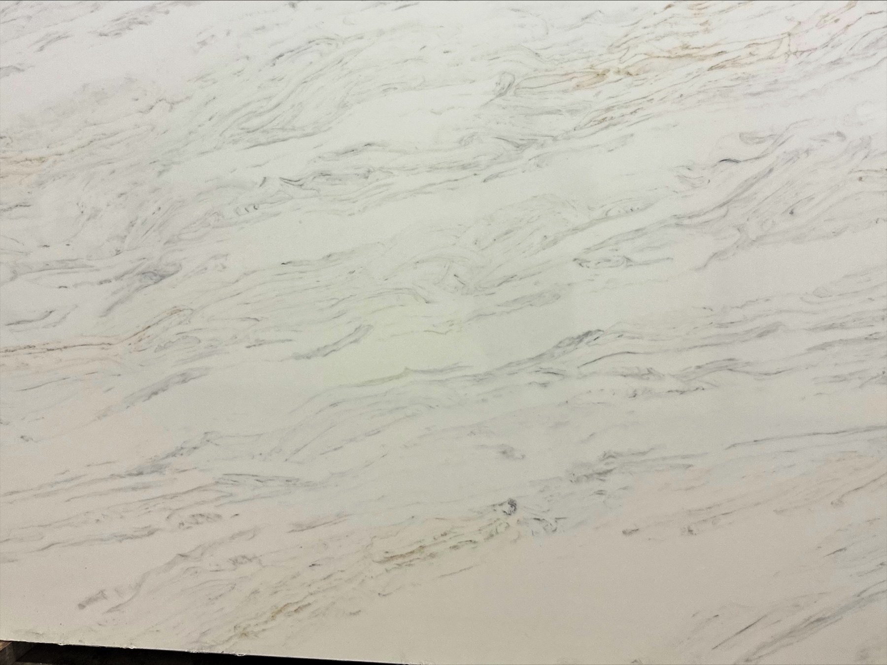 Calacatta Plumada — reference only