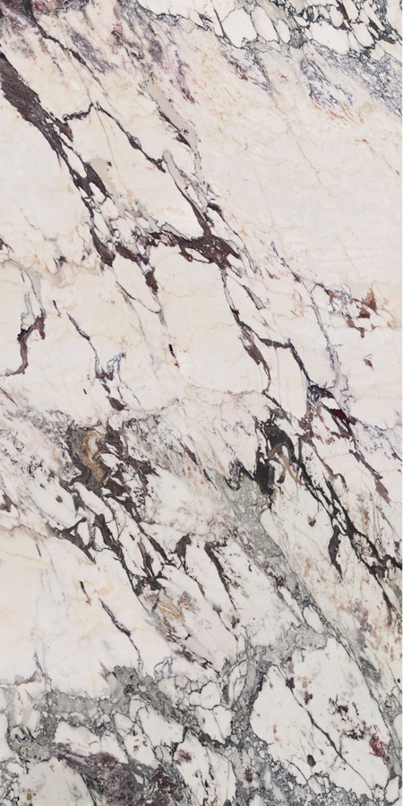 Calacatta Aries — reference only