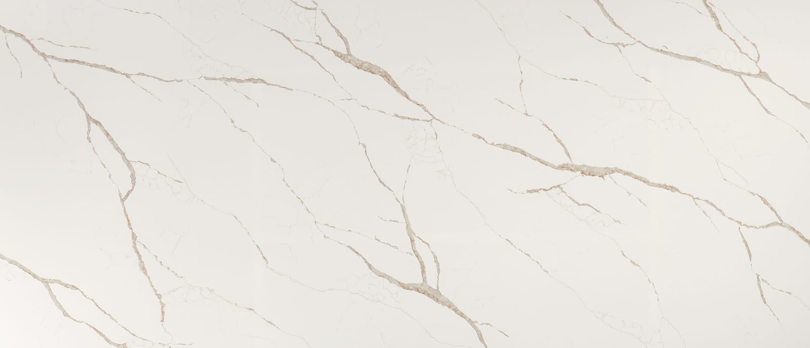 Calacatta Laza Oro Quartz by MSI — brand reference image