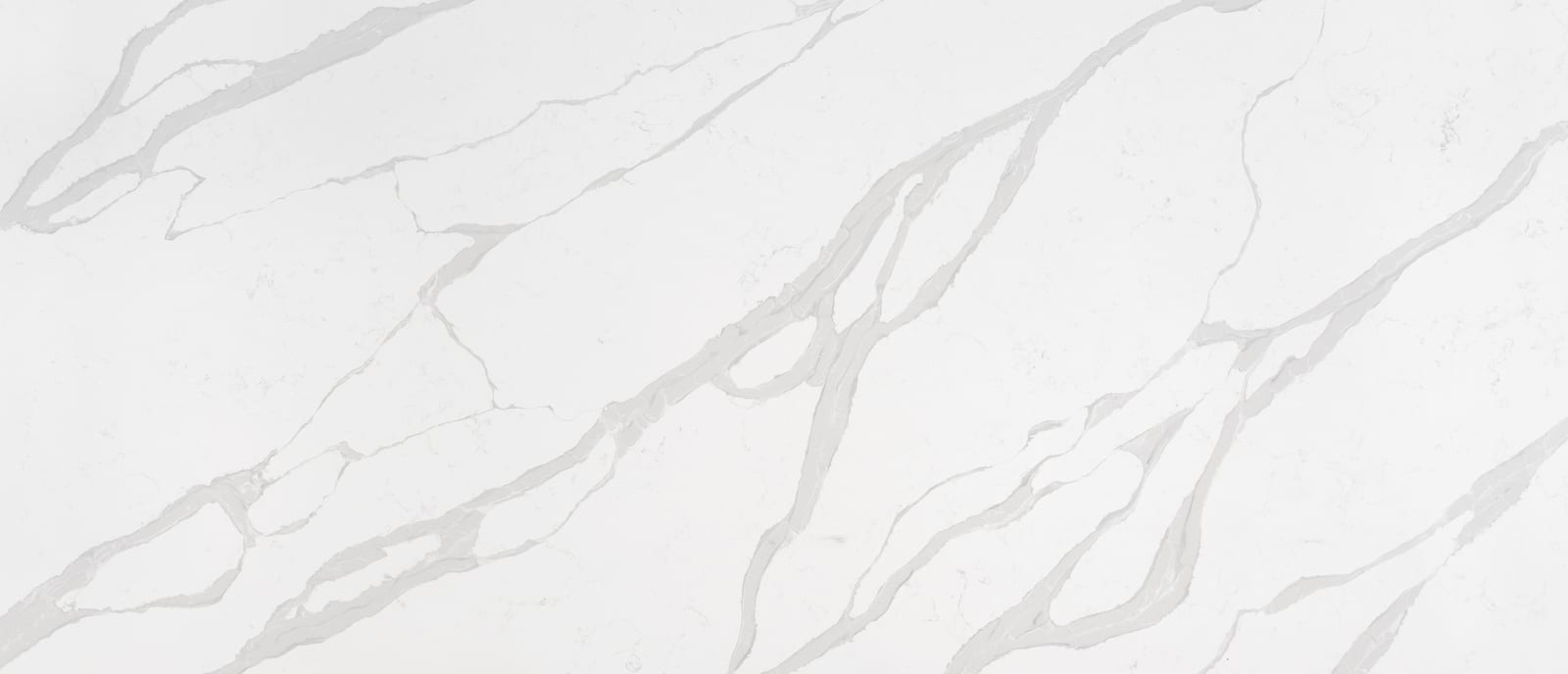 Calacatta Luccia Quartz by MSI — brand reference image