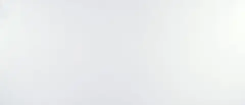 Calico White Quartz by MSI — brand reference image