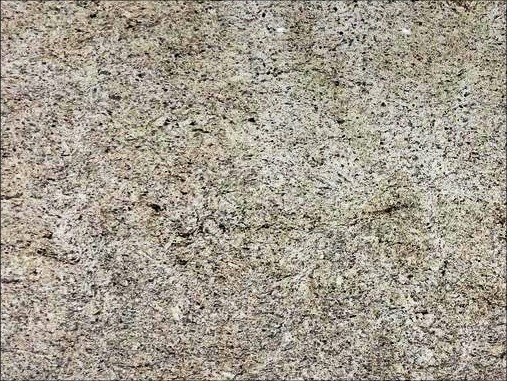 Giallo Ornamental Granite by Cosmos — brand reference image